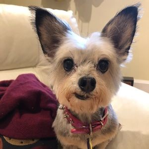 Meet your Posher, Gina